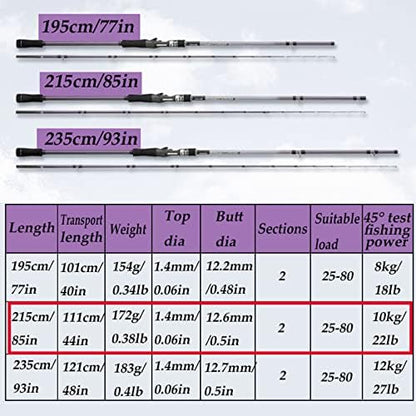 Caña pesca premium telescópica viaje ligera costera