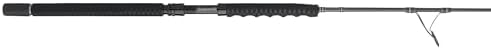 Caña spinning carnaje II III salada resistente